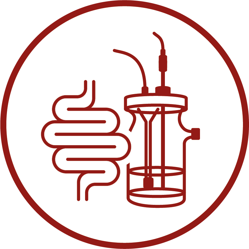 Purchase of the SHIME (Simulator of Human Intestinal Microbial Ecosystem)