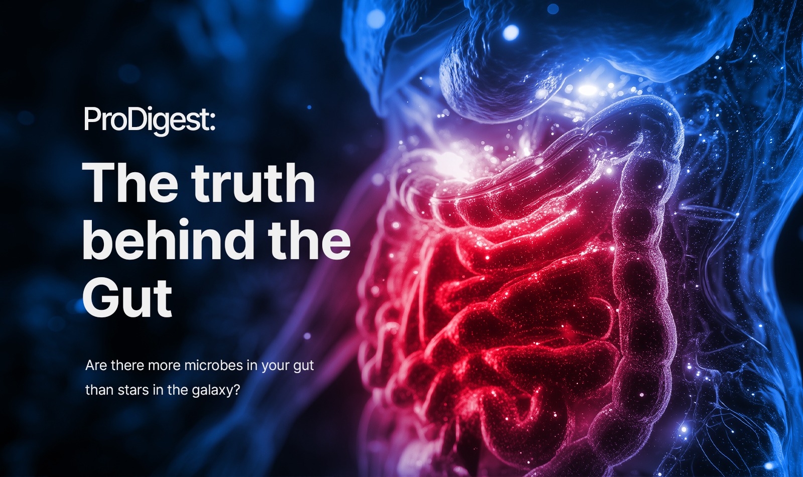 ProDigest: the truth behind the gut​