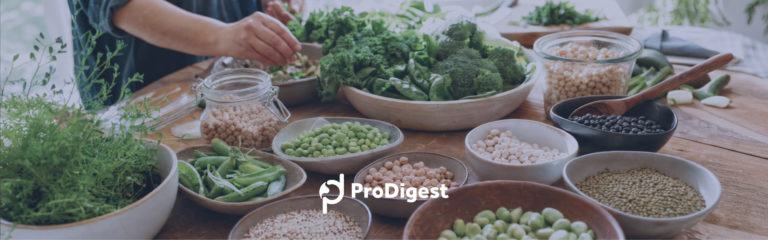 ProDigest-Bridge2Food-2026-Plant-based-foods-DIAAS-INFOGEST-Blogpost