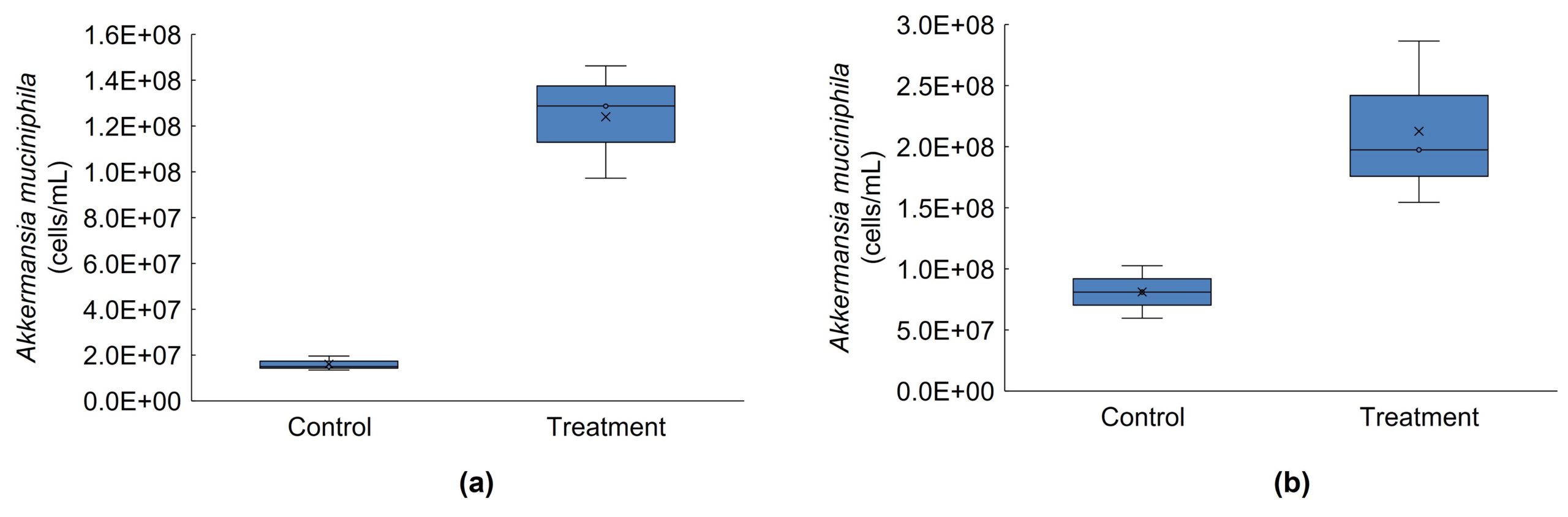 Box plots comparing Akkermansia muciniphila abundance in cells per milliliter between control and tributyrin treatment periods in the distal colon, for donor A (left) and donor C (right), showing higher levels after treatment in both donors. From ProDigest's Triple-L-SHIME study, in which tributyrin enriched this beneficial gut bacterium after three weeks of daily dosing.